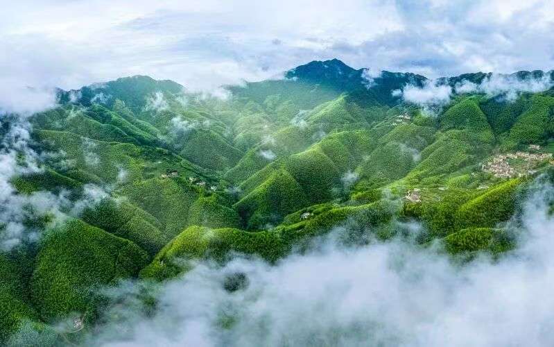 1761404987181.jpeg 1761404987181.jpeg