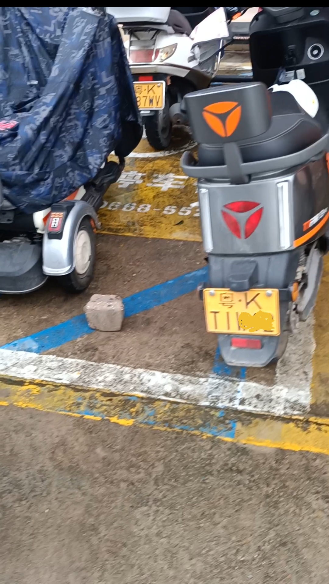 mmexport1742824574141.jpg mmexport1742824574141.jpg