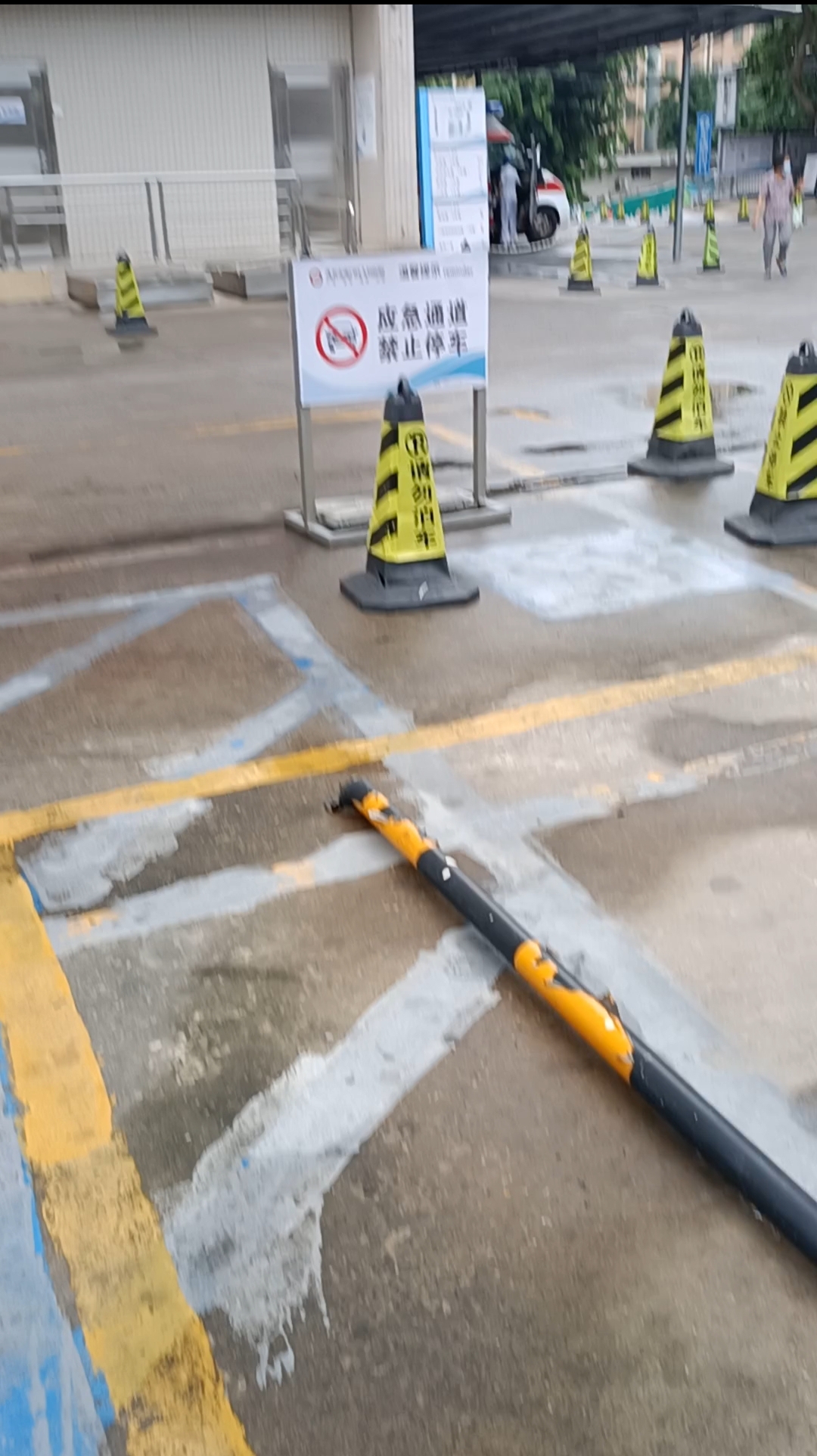 mmexport1742824598818.jpg mmexport1742824598818.jpg