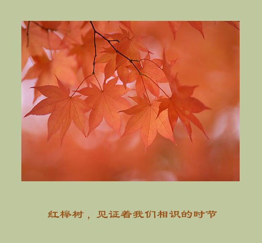16_9666_1.jpg