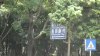 DSC04616.JPG