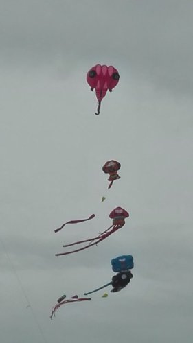 阳江风筝文化3.jpg 阳江风筝文化3.jpg