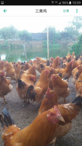 Screenshot_20170522-100902.png Screenshot_20170522-100902.png