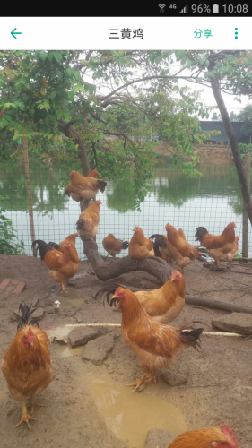 Screenshot_20170522-100856.png Screenshot_20170522-100856.png