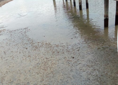 IMG_20170930_141221.jpg IMG_20170930_141221.jpg