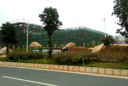 IMG_20100102_163229.jpg IMG_20100102_163229.jpg