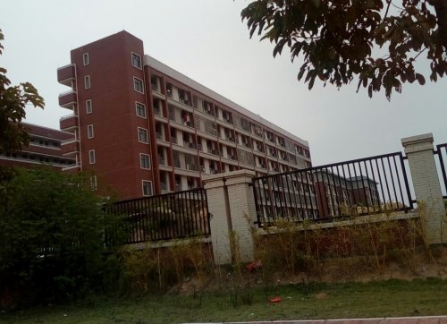 IMG_20100102_163311.jpg IMG_20100102_163311.jpg