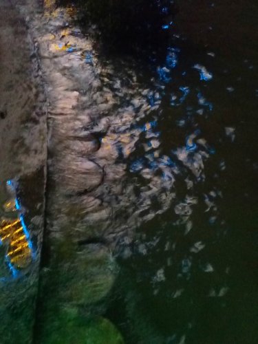 IMG_20100113_231921.jpg IMG_20100113_231921.jpg