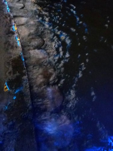 IMG_20100113_232003.jpg IMG_20100113_232003.jpg