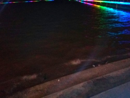 IMG_20100113_232127.jpg IMG_20100113_232127.jpg