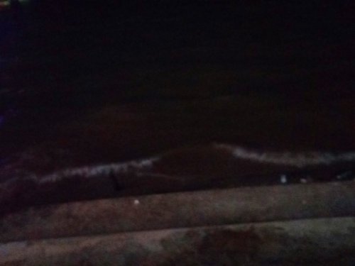 IMG_20100113_232216.jpg IMG_20100113_232216.jpg