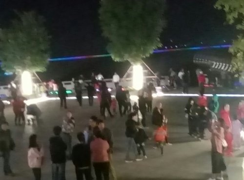 IMG_20100101_113653.jpg IMG_20100101_113653.jpg