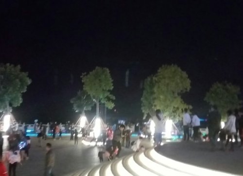 IMG_20100101_113950.jpg IMG_20100101_113950.jpg