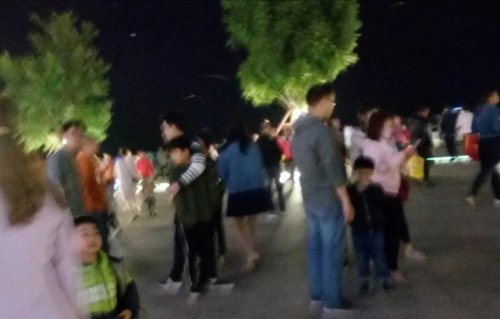 IMG_20100101_114038.jpg IMG_20100101_114038.jpg