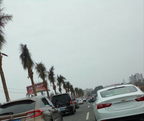 IMG_20100102_140614.jpg IMG_20100102_140614.jpg