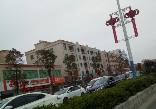 IMG_20100102_140548.jpg IMG_20100102_140548.jpg