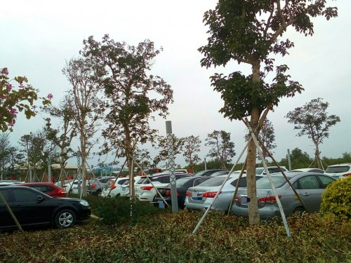 IMG_20100102_141747.jpg IMG_20100102_141747.jpg