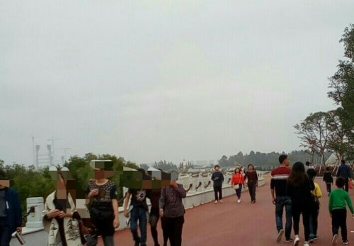 IMG_20100102_142326.jpg IMG_20100102_142326.jpg