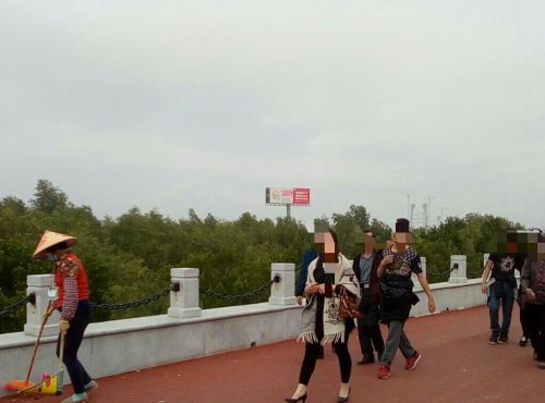 IMG_20100102_142418.jpg IMG_20100102_142418.jpg