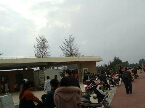 IMG_20100102_142526.jpg IMG_20100102_142526.jpg