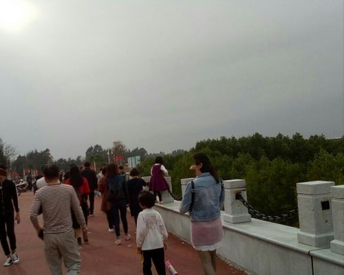 IMG_20100102_142735.jpg IMG_20100102_142735.jpg