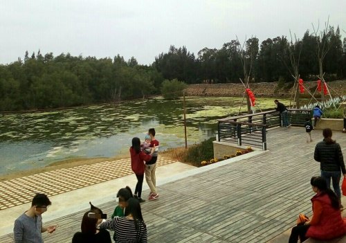 IMG_20100102_142918.jpg IMG_20100102_142918.jpg