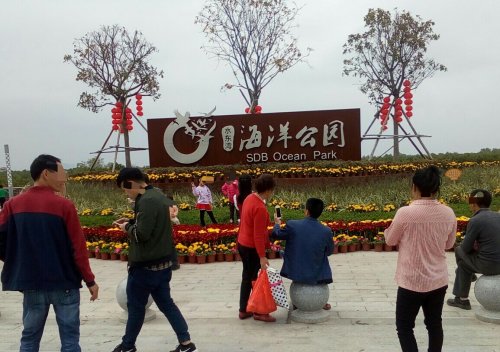 IMG_20100102_143005.jpg IMG_20100102_143005.jpg