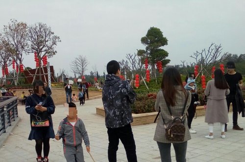 IMG_20100102_143204.jpg IMG_20100102_143204.jpg