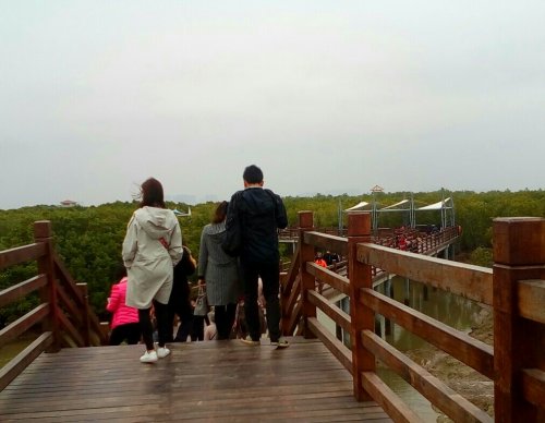 IMG_20100102_143333.jpg IMG_20100102_143333.jpg