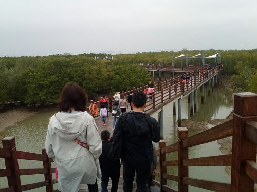 IMG_20100102_143447.jpg IMG_20100102_143447.jpg