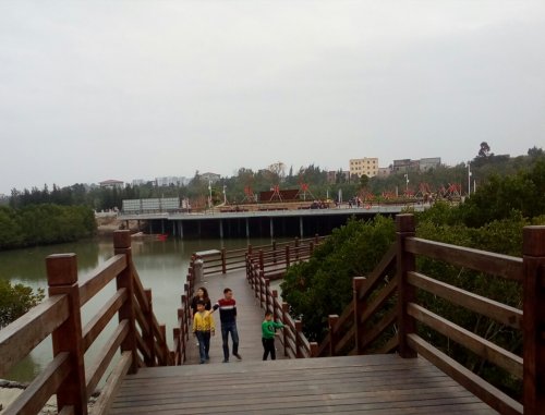 IMG_20100102_143524.jpg IMG_20100102_143524.jpg