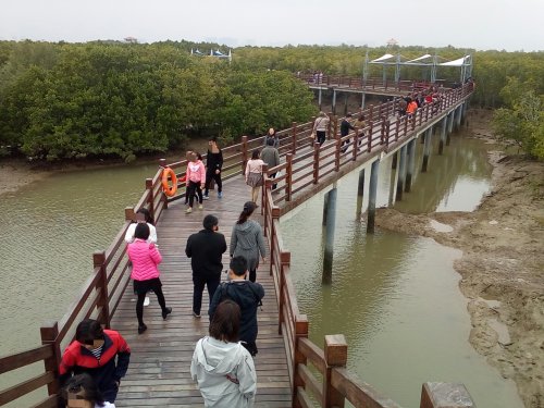 IMG_20100102_143557.jpg IMG_20100102_143557.jpg