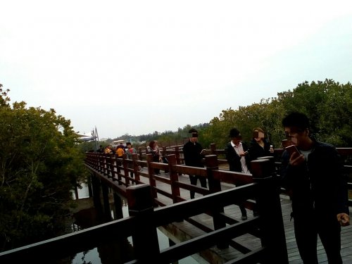 IMG_20100102_143850.jpg IMG_20100102_143850.jpg