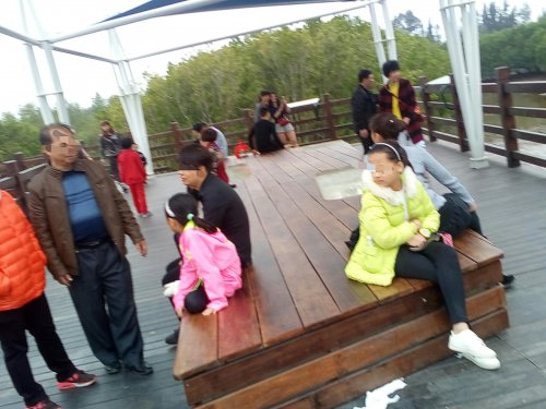 IMG_20100102_143924.jpg IMG_20100102_143924.jpg