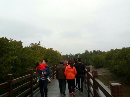 IMG_20100102_144011.jpg IMG_20100102_144011.jpg