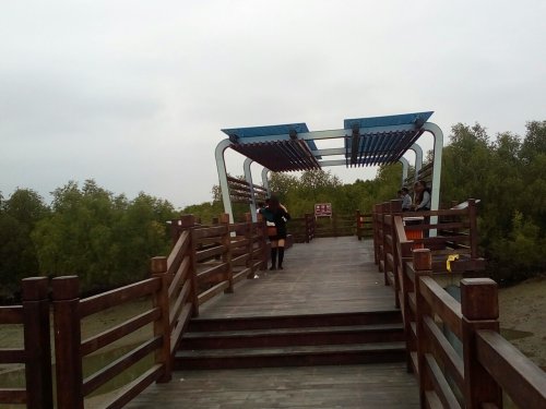 IMG_20100102_144037.jpg IMG_20100102_144037.jpg