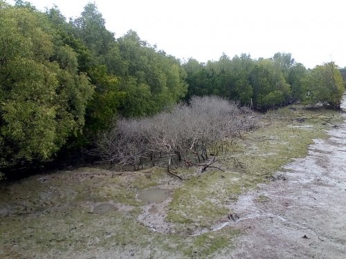 IMG_20100102_144146.jpg IMG_20100102_144146.jpg