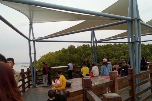 IMG_20100102_144233.jpg IMG_20100102_144233.jpg