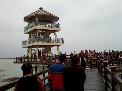 IMG_20100102_144454.jpg IMG_20100102_144454.jpg