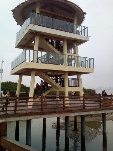 IMG_20100102_144718.jpg IMG_20100102_144718.jpg