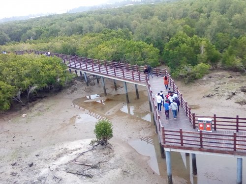 IMG_20100102_044726.jpg IMG_20100102_044726.jpg