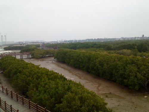 IMG_20100102_044728.jpg IMG_20100102_044728.jpg