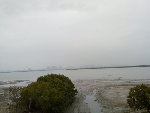 IMG_20100102_045847.jpg IMG_20100102_045847.jpg