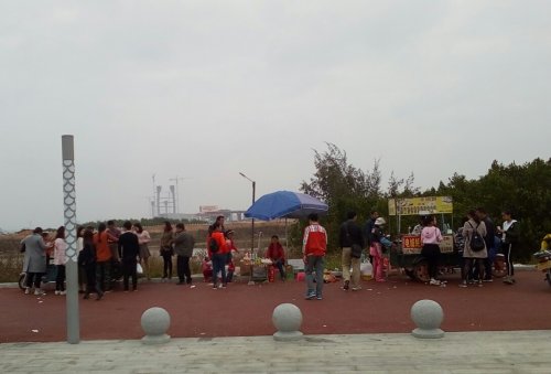 IMG_20100102_145006.jpg IMG_20100102_145006.jpg