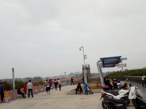 IMG_20100102_145049.jpg IMG_20100102_145049.jpg