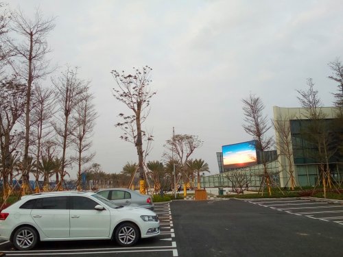 IMG_20100102_224323.jpg IMG_20100102_224323.jpg