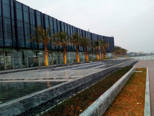 IMG_20100102_224542.jpg IMG_20100102_224542.jpg