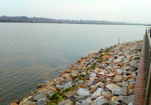 IMG_20100102_224843.jpg IMG_20100102_224843.jpg