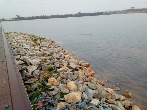 IMG_20100102_224901.jpg IMG_20100102_224901.jpg