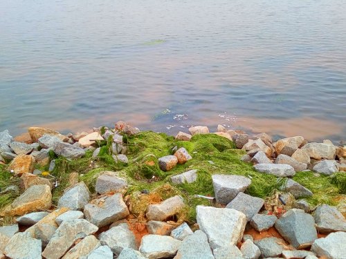 IMG_20100102_224922.jpg IMG_20100102_224922.jpg